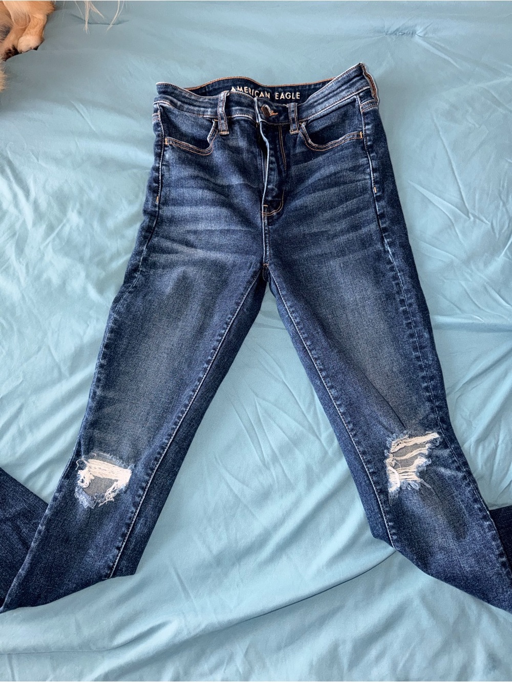 American Eagle Outfitters Dark Blue Ripped Skinny Jeans
